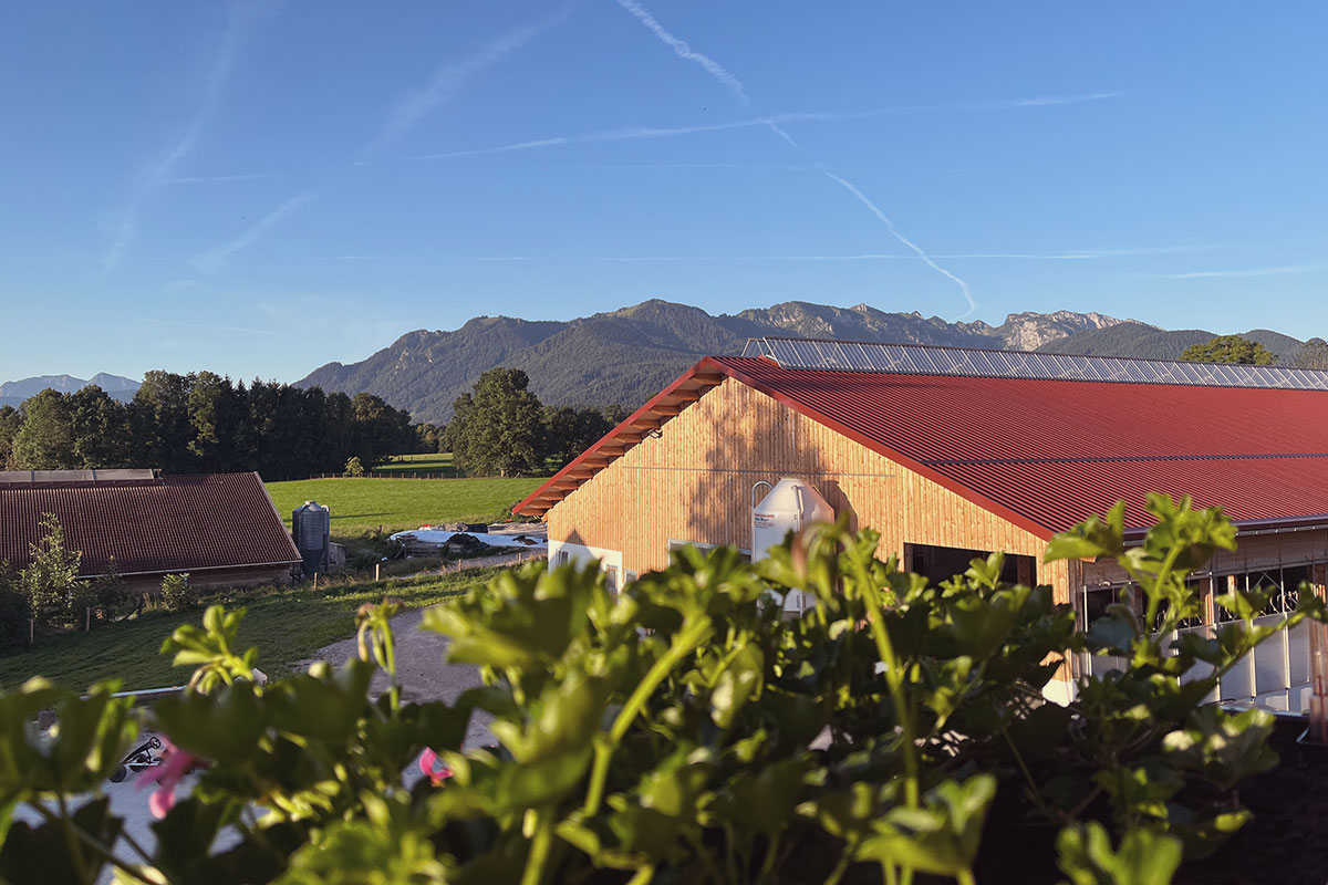 Ferienwohnungen-zum-Nigglhof-Hofgeschichte-mit-Ausblick Ferienwohnungen-zum-Nigglhof-Hofgeschichte-mit-Ausblick