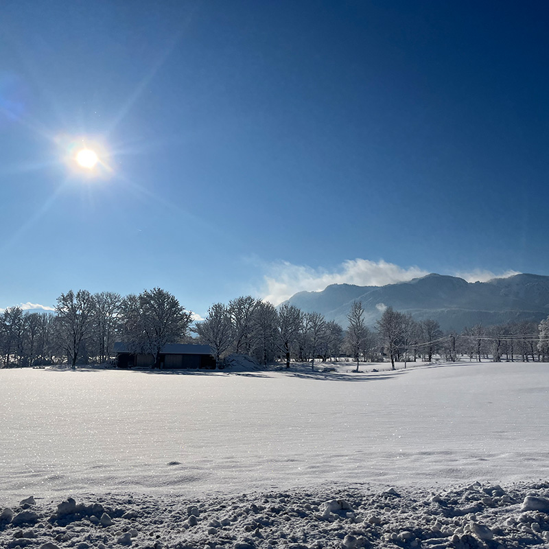 Ferienwohnungen-zum-Nigglhof-Winterprogramm-ab-der-Haustuere Ferienwohnungen-zum-Nigglhof-Winterprogramm-ab-der-Haustuere